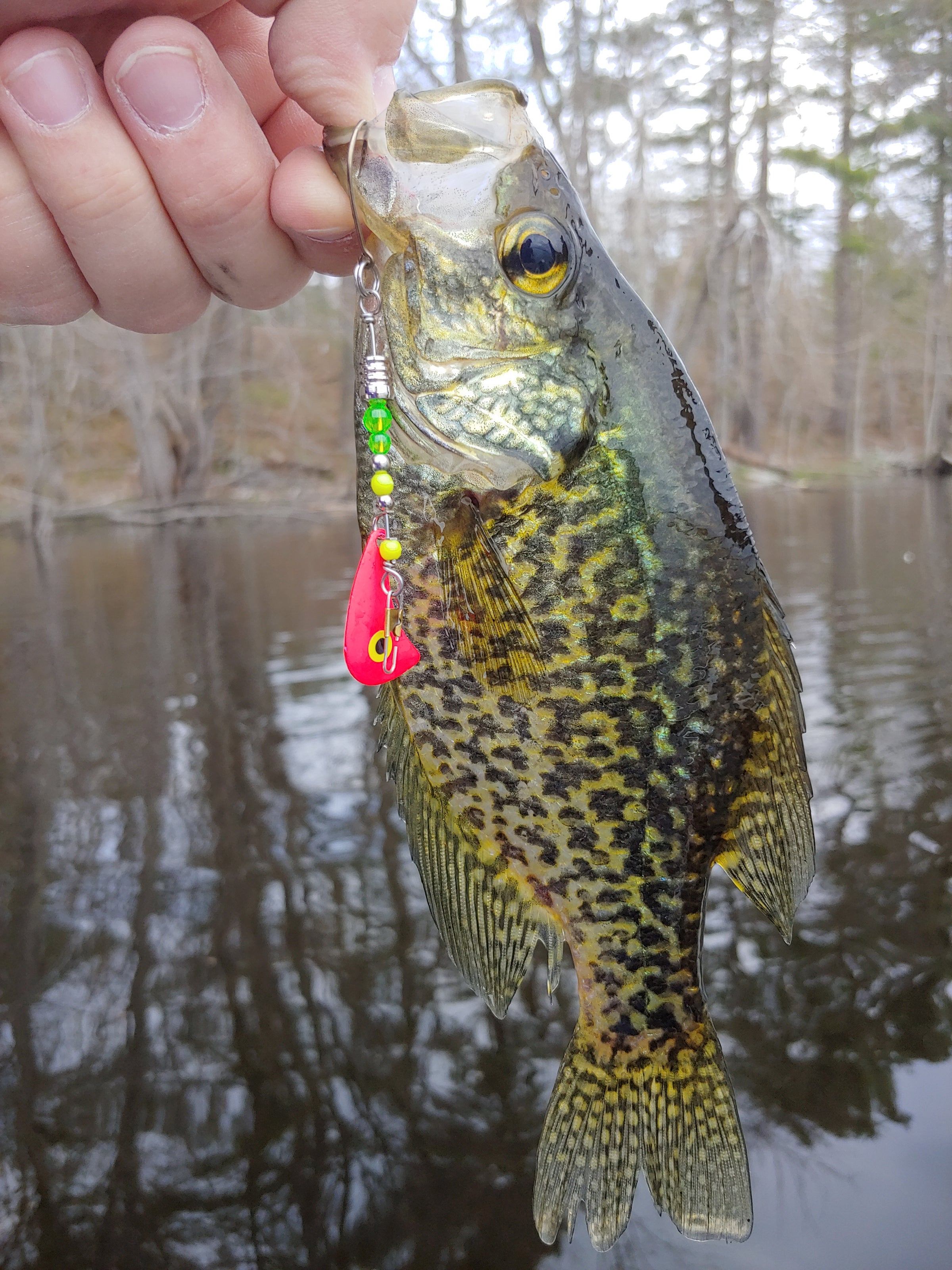 Shop All  UNIQUE LURES QUALITY HANDCRAFTED FISHING LURES MADE IN BREWER  MAINE